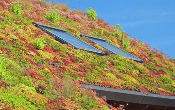 Thriplow living roof systems