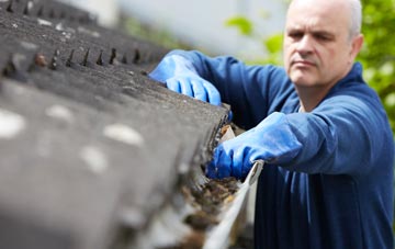 cleaning and inspecting Thriplow roofs